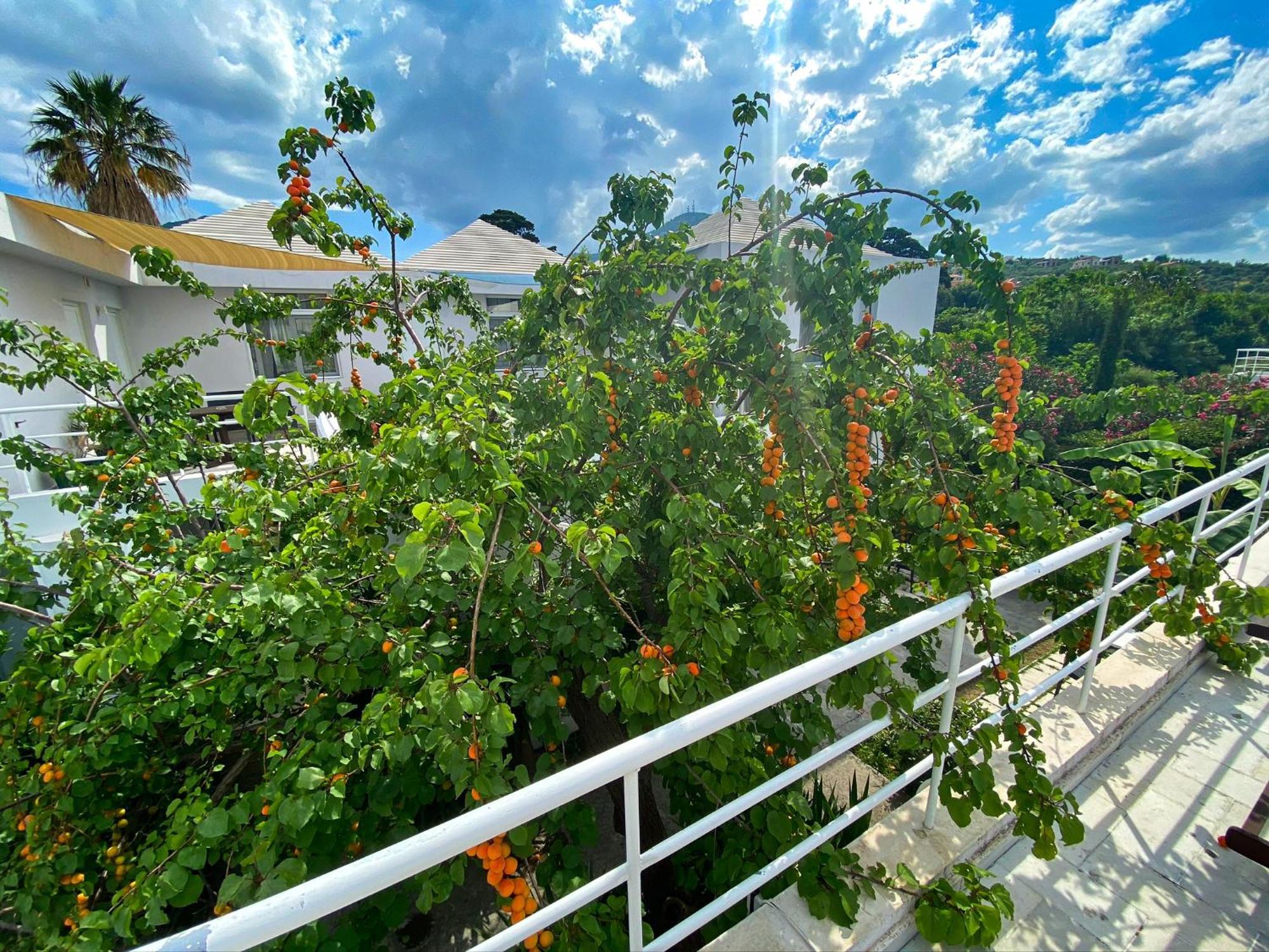 The Loriet Aparthotel Mytilene Ngoại thất bức ảnh
